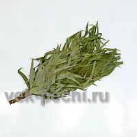 Веник эвкалипт БЕЗ УПАКОВКИ ( мин . партия 25 шт . )  " MR. VENIKOFF "