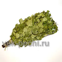 Веник береза БЕЗ УПАКОВКИ ( мин . партия 25 шт . ) Веникофф