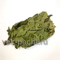 Веник дуб БЕЗ УПАКОВКИ ( мин . партия 25 шт . ) Веникофф