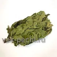 Веник дуб  прозрачная упаковка "MR. VENIKOFF"