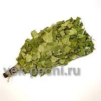 Веник береза  прозрачная упаковка "MR. VENIKOFF"