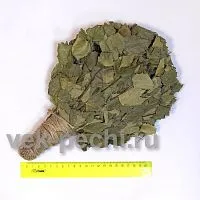 Веник-ладошечник ( детский ) 25*15 ( береза ) , прозрачная упаковка Веникофф