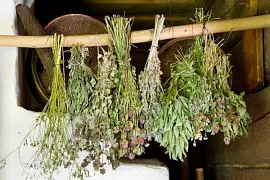 Пучки из трав для бани